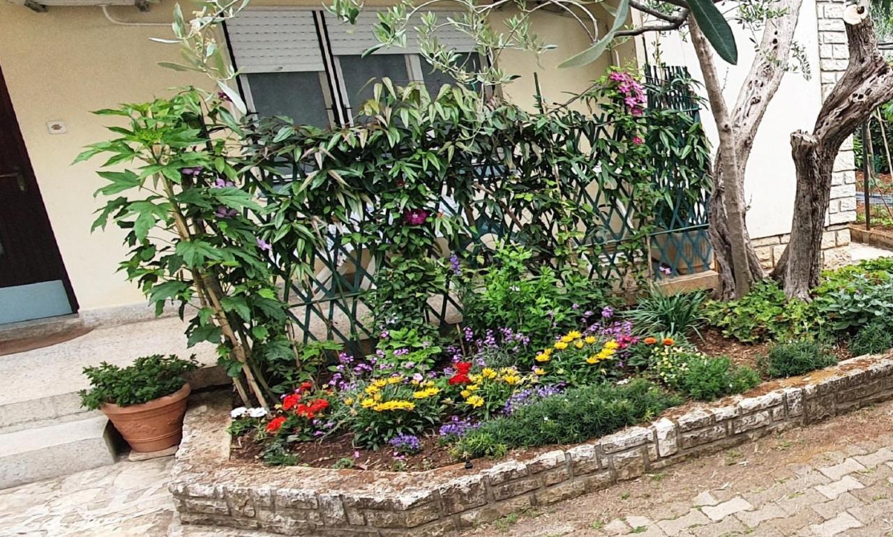 רוביני Cecillia Mare Apartments מראה חיצוני תמונה