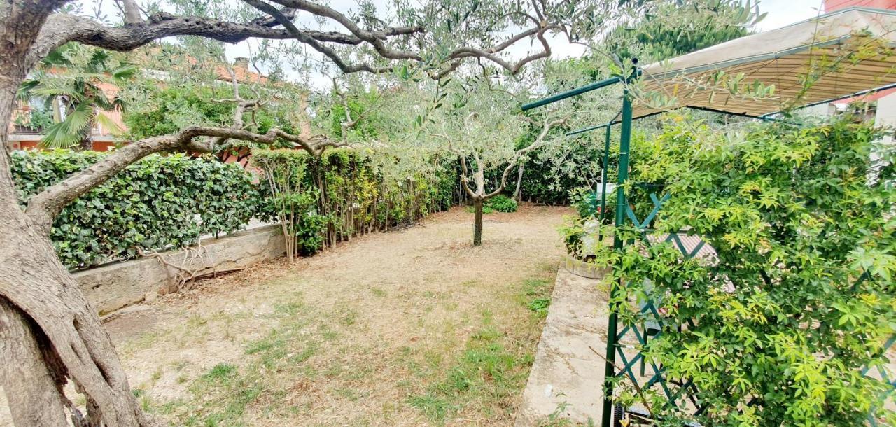 רוביני Cecillia Mare Apartments מראה חיצוני תמונה