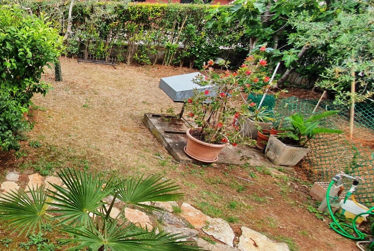רוביני Cecillia Mare Apartments מראה חיצוני תמונה